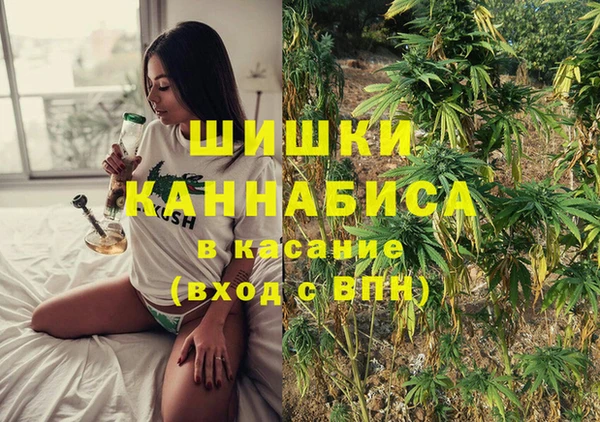 спайс Алексин