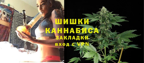 спайс Алексин
