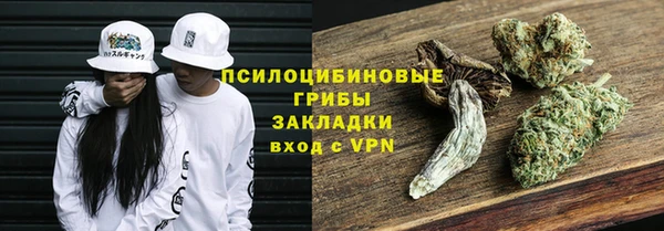 спайс Алексин