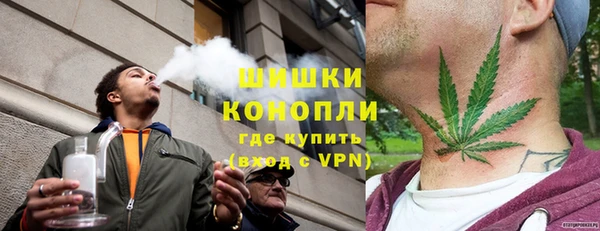 спайс Алексин