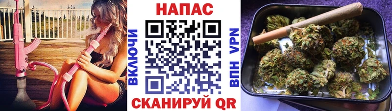 Шишки марихуана гибрид наркошоп Сосновоборск